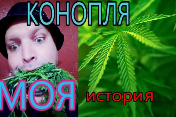 Как попасть на кракен с айфона