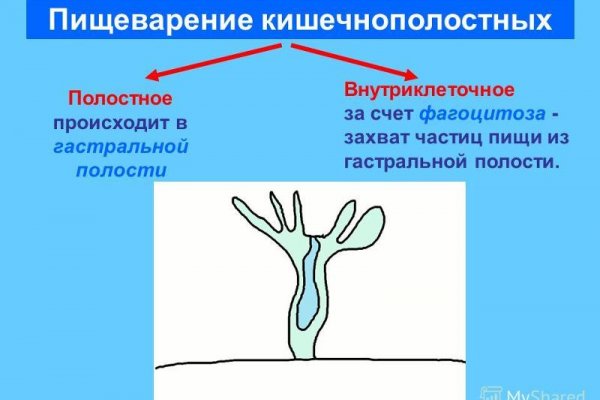 Кракен тор kr2web in
