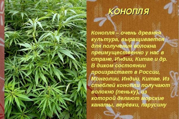 Кракен макет даркнет
