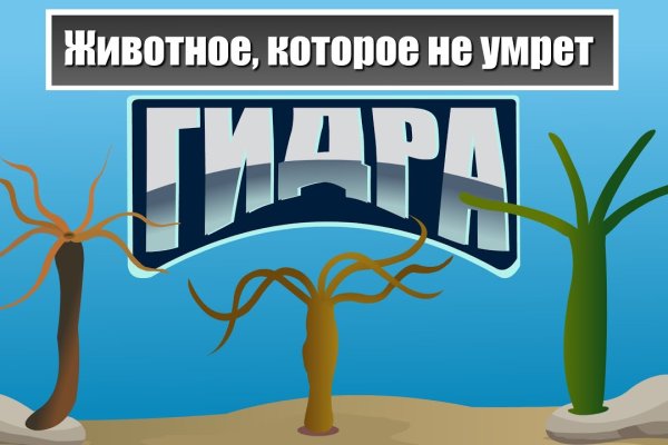 Кракен наркоплейс